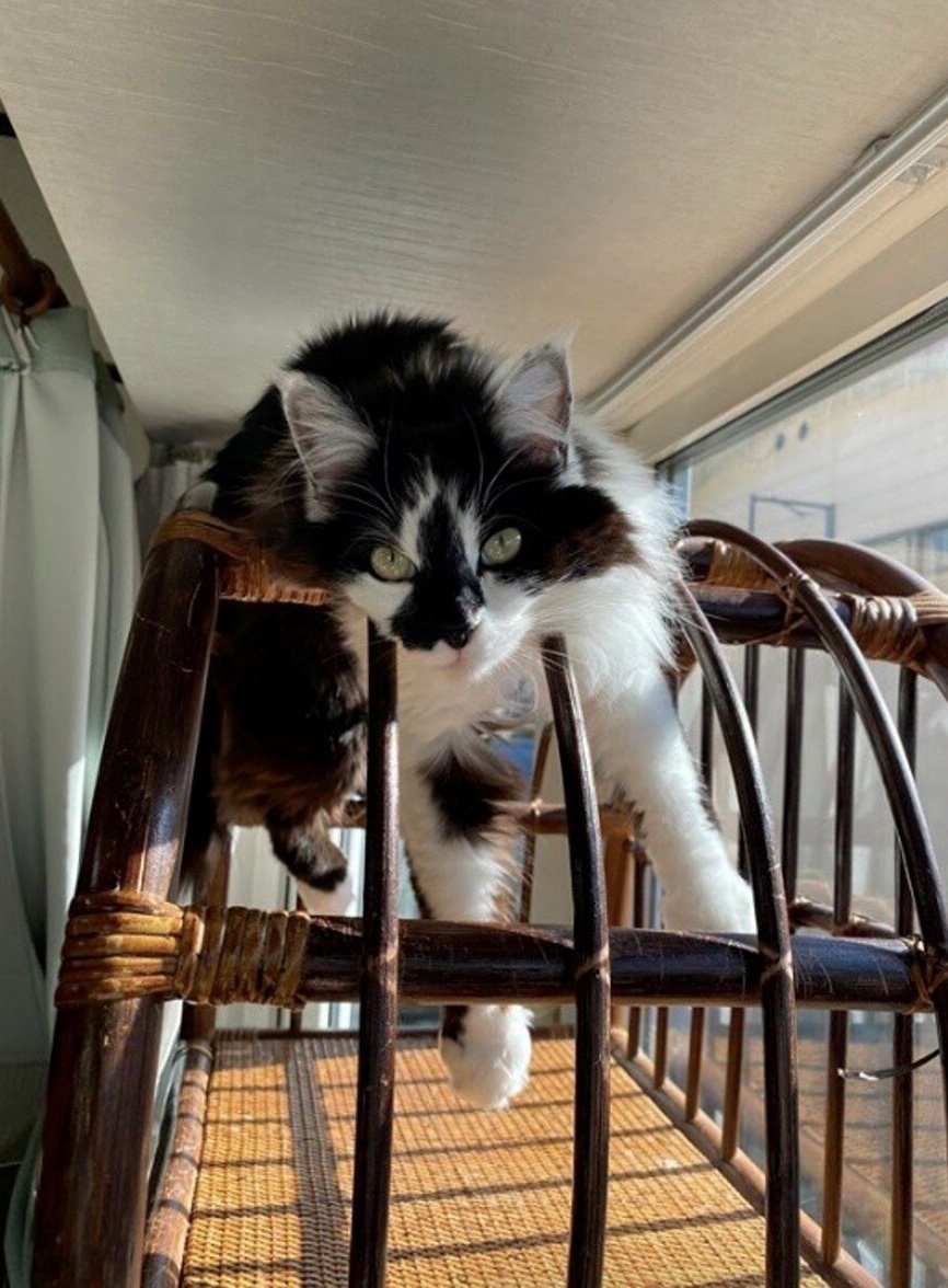 奴才：那你放鬆一下吧