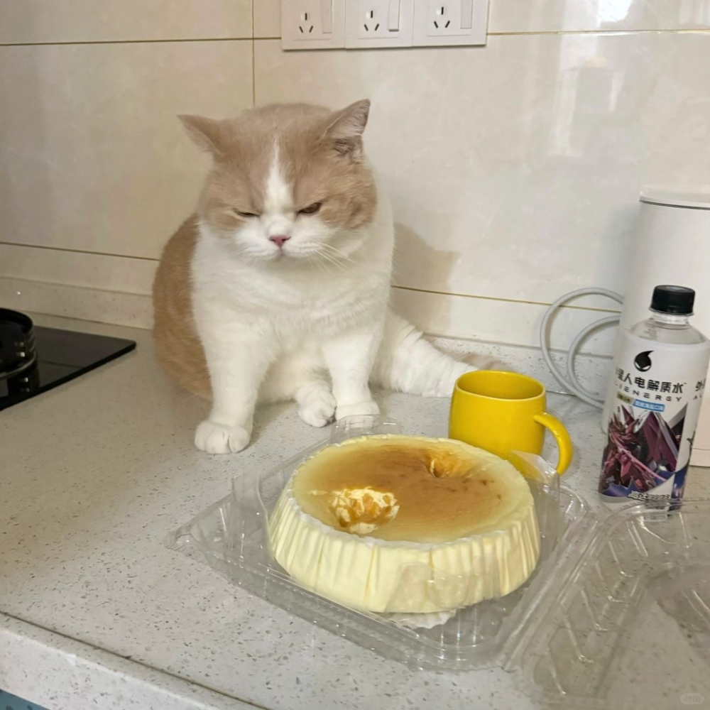 奴才：你的腳腳乾淨嗎？