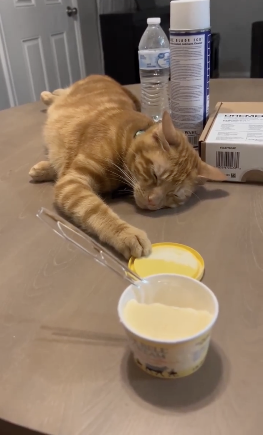 奴才：...靜靜看你演戲啊