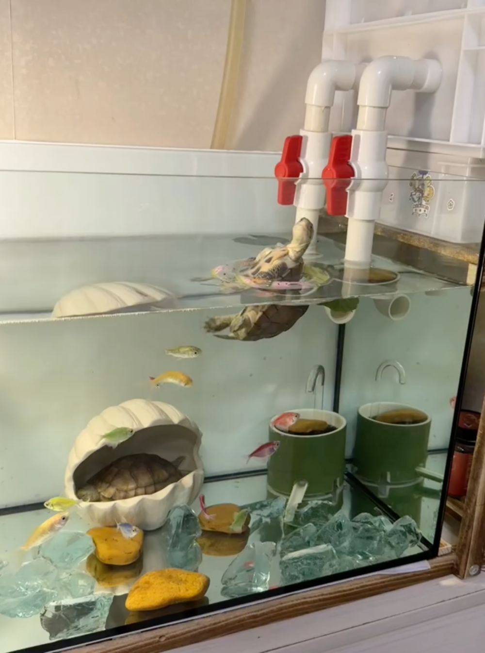 奴才：這就是你的度假模式嗎？