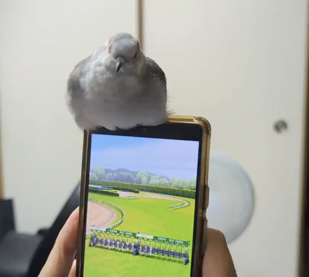 奴才：你別胡思亂想啊