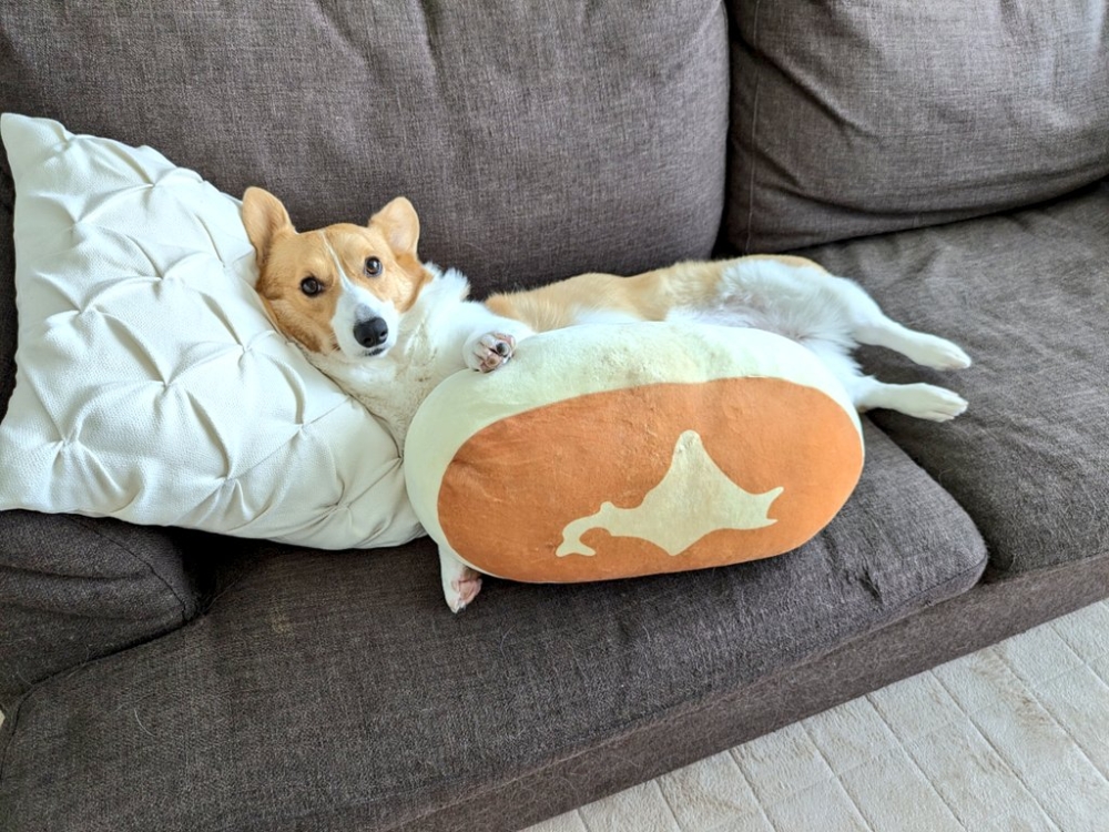 奴才：我還要負責配合演戲嗎？