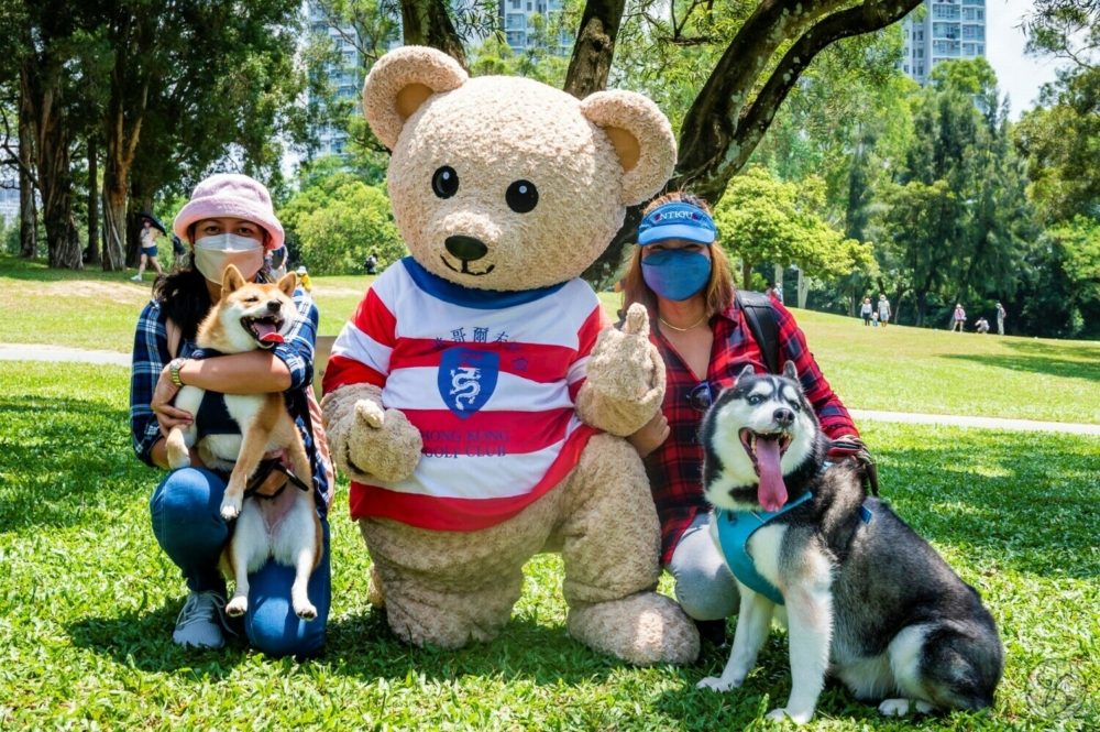 狗狗們可以繼續在高爾夫球場地暢玩。