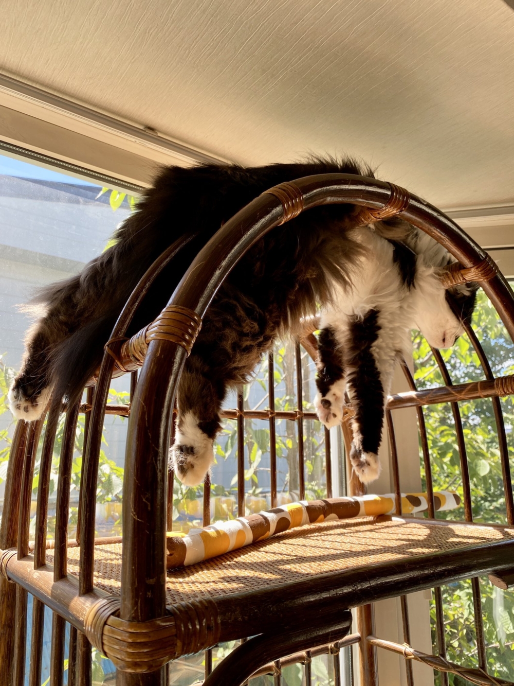 奴才：那你要仰躺才對啊