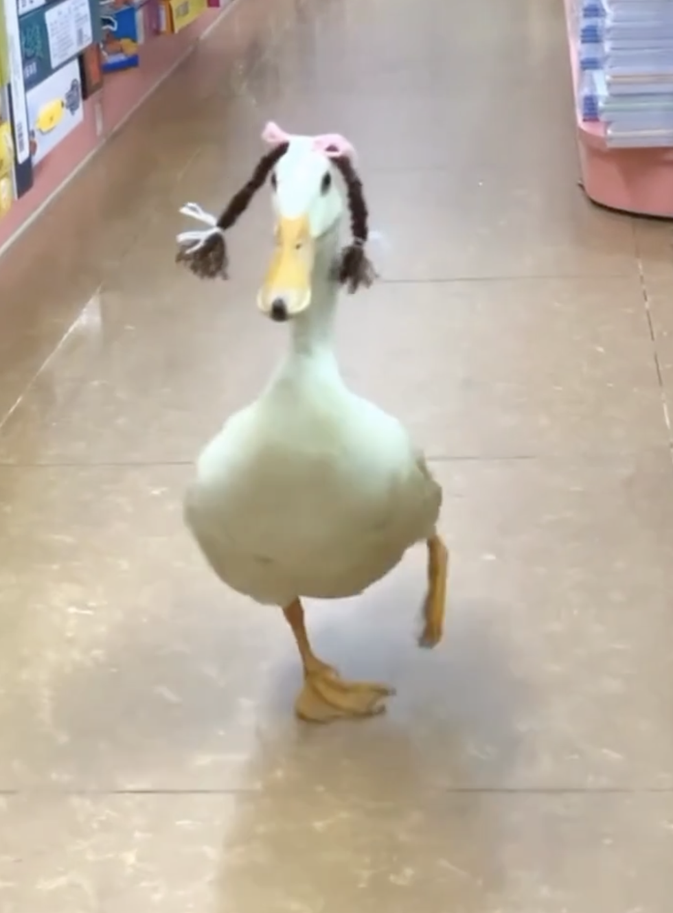 奴才：你好嬌羞喔