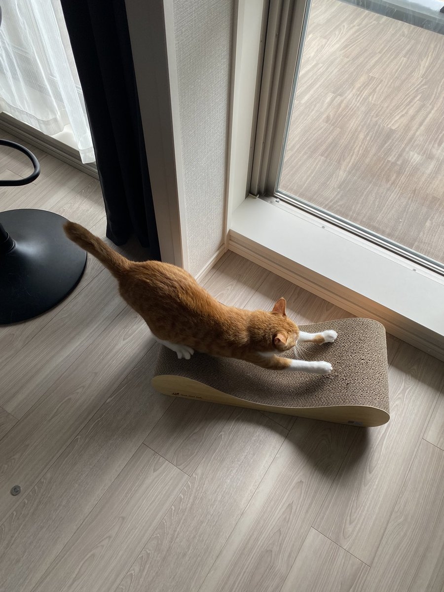 奴才：奉陪到底啊