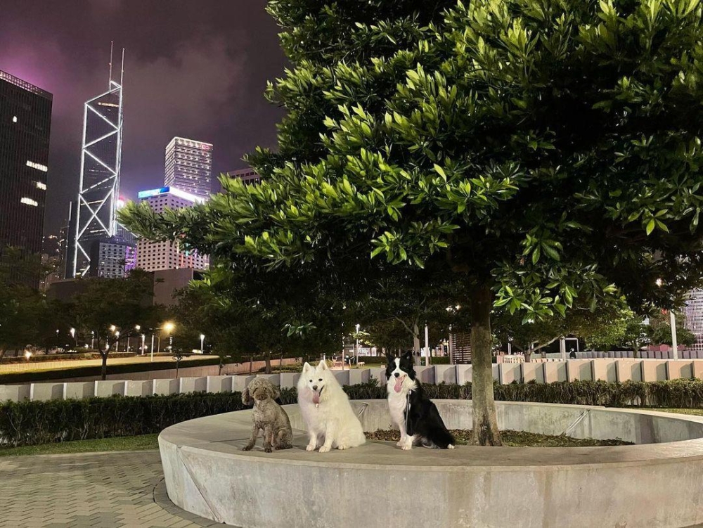 在這裡可以看夜景。