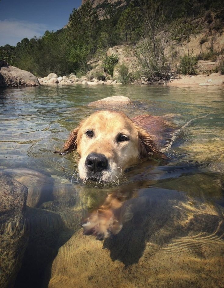 戶外游泳要選擇適當的場地
