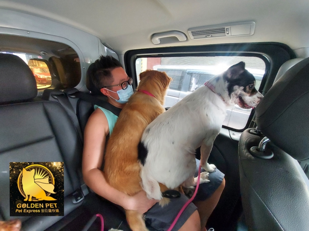 預約時需要告知寵物及乘客數量。