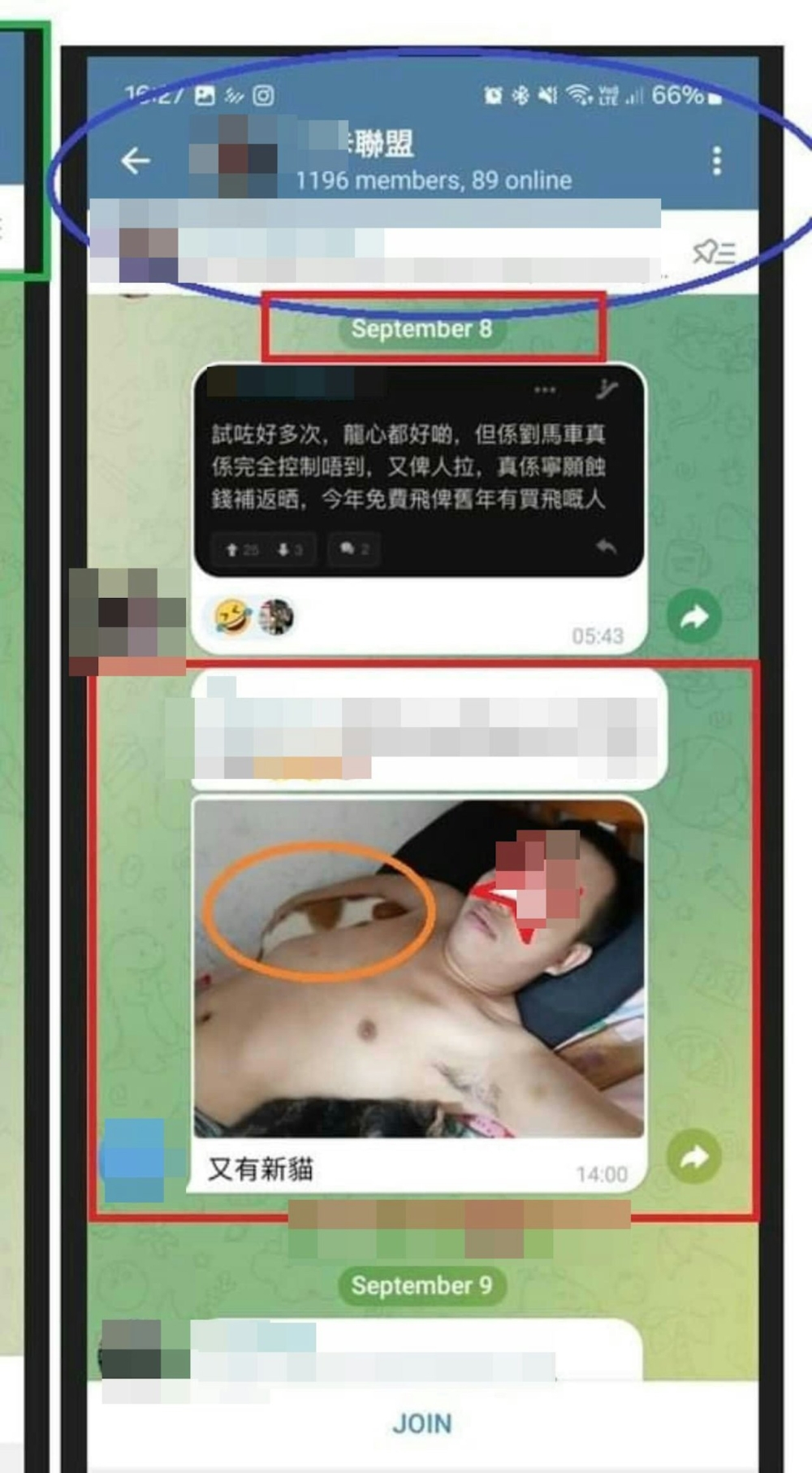 Youtuber Kenny在Telegram群組上傳與貓咪同床照片