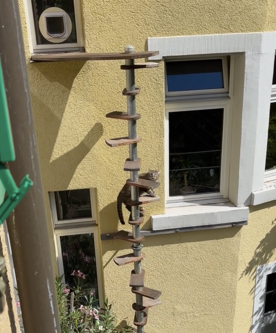 博主：再見幾次就沒得見了