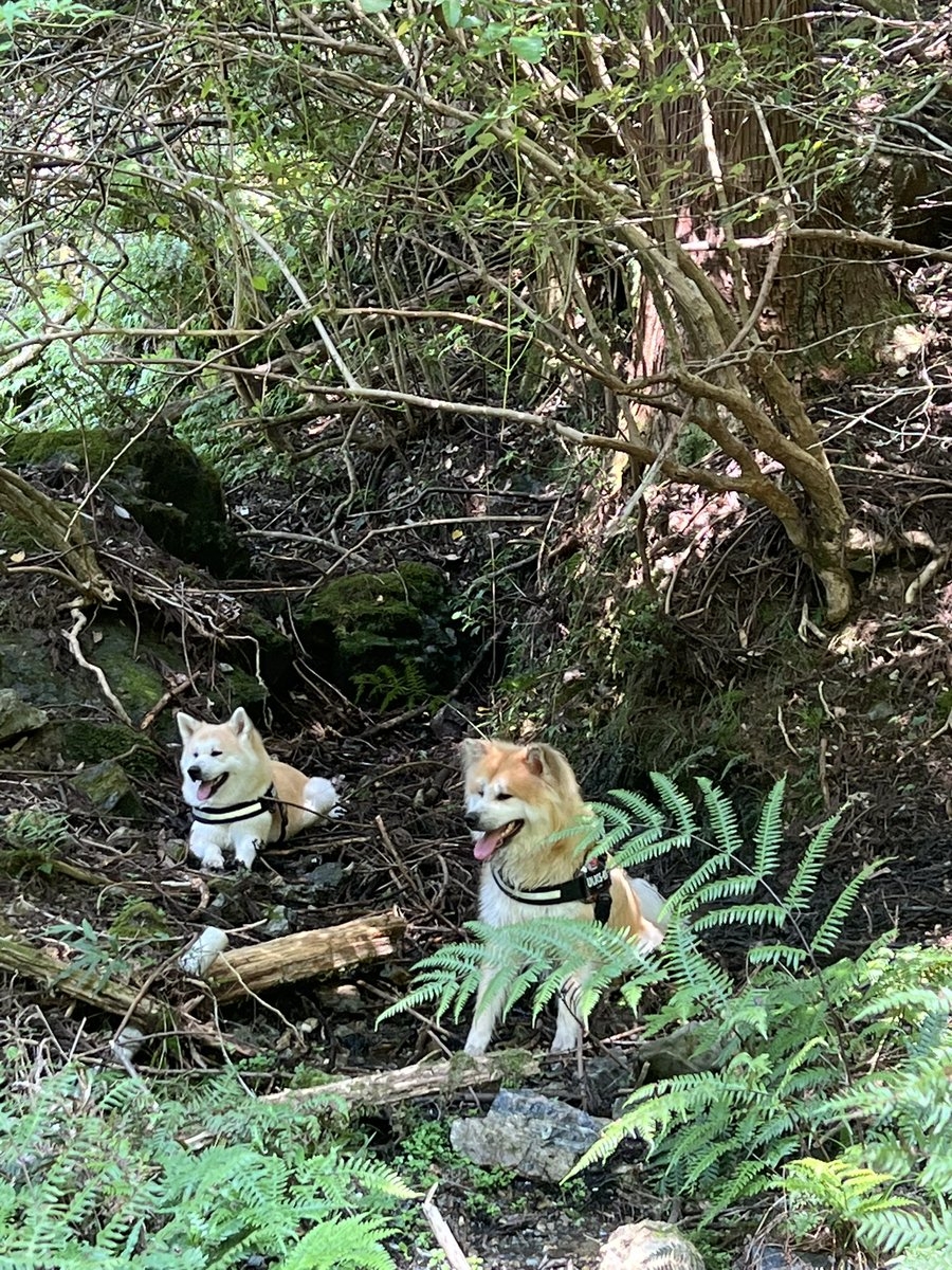 奴才：我下去只泡到腳囉