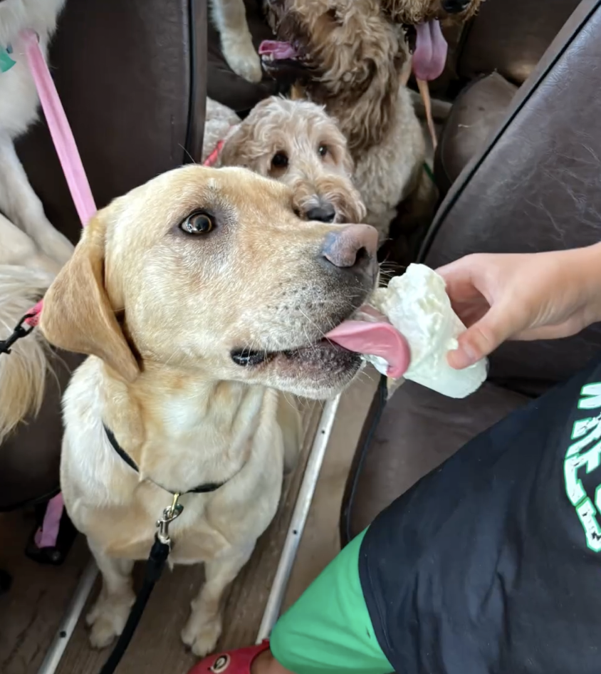 韋倫命運的改變是自己爭取回來的