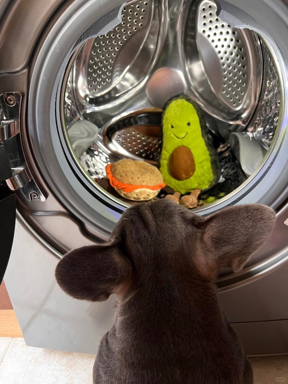  汪：拜拜了大家。