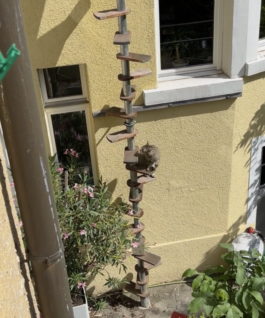 博主：你要回家休息啦