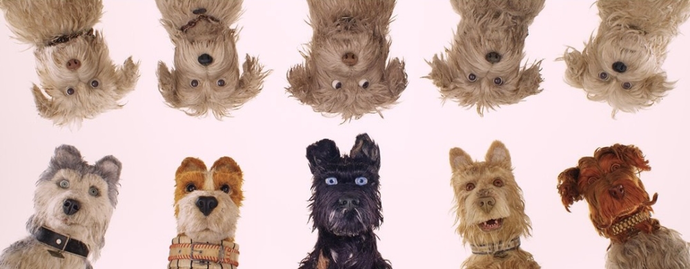 狗狗們被迫流放到垃圾島