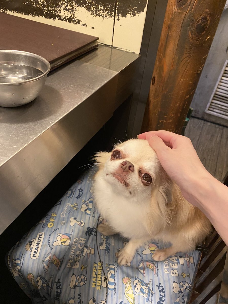 奴才：當然！我保證