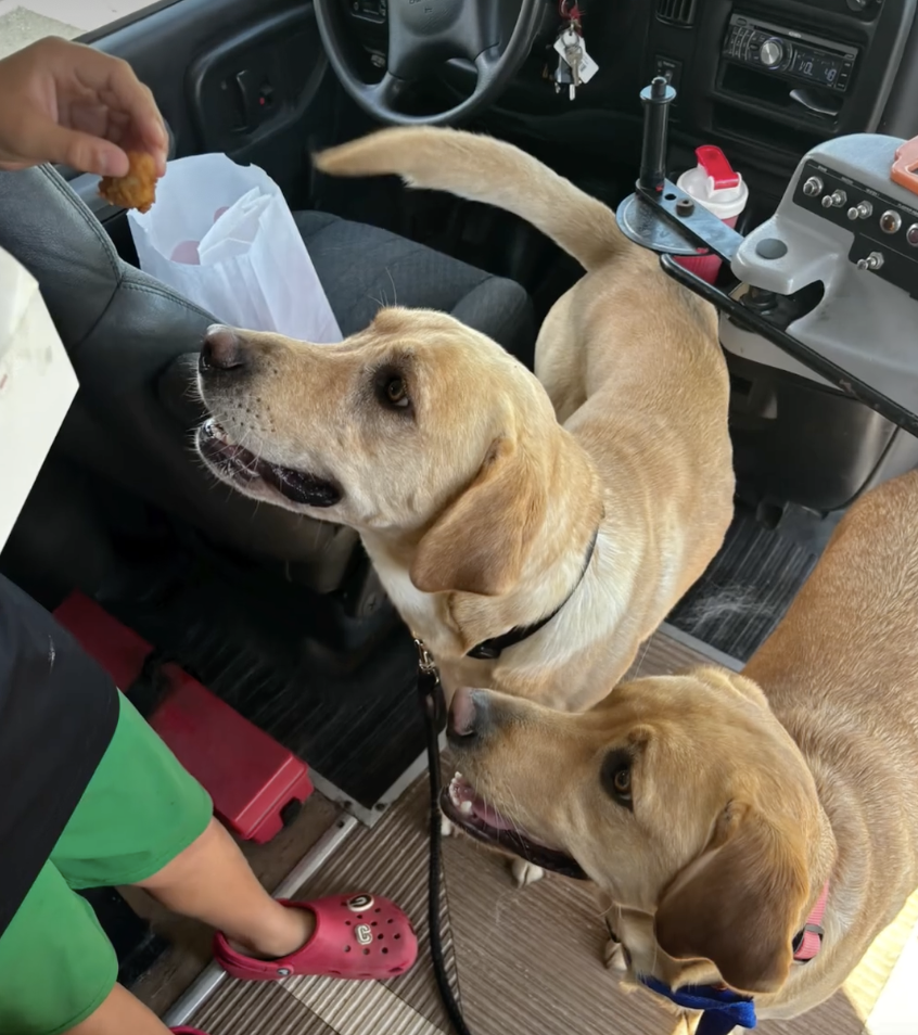 韋倫的上學之旅