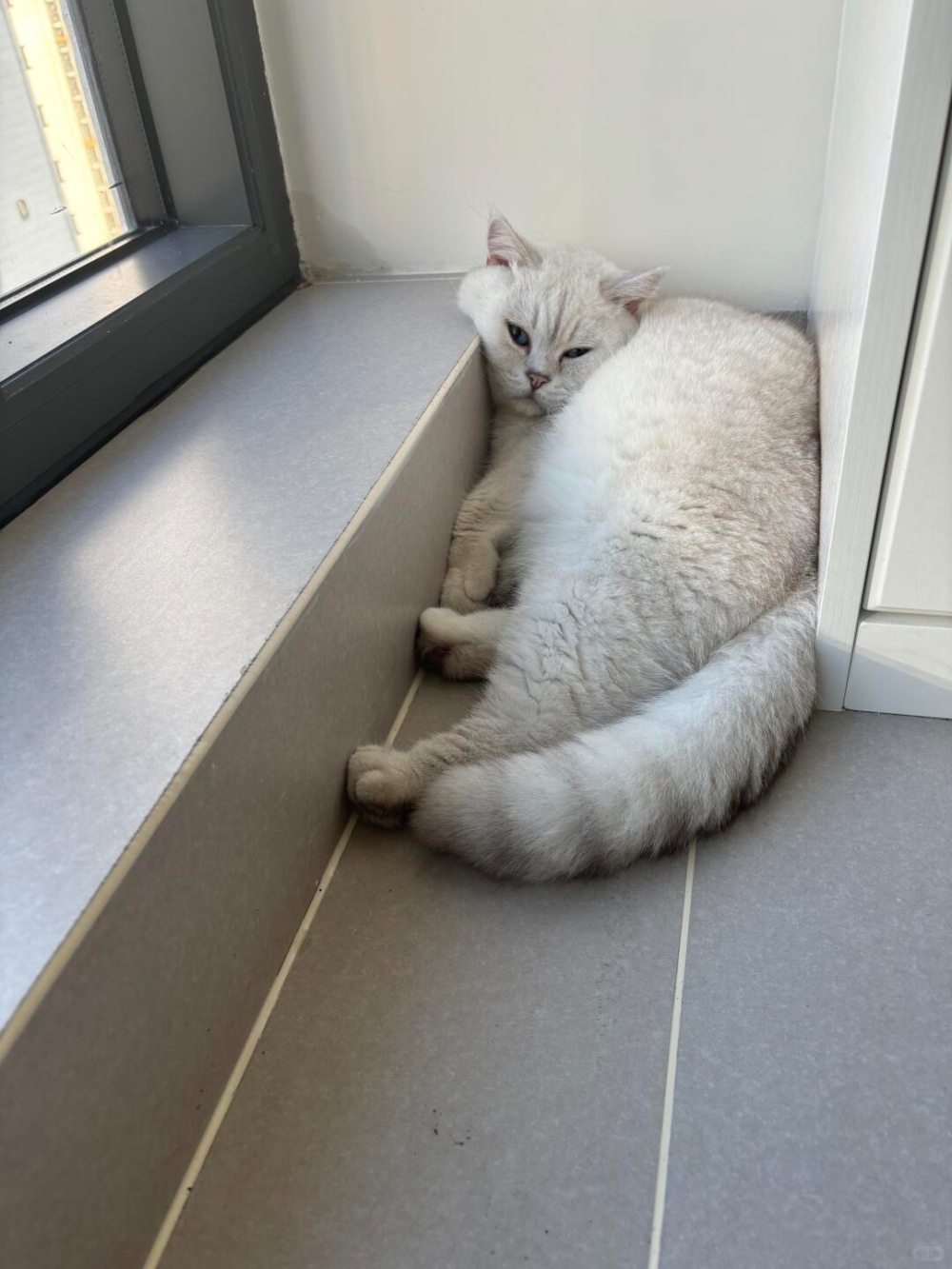 喵：嗯～被保住才有安全感！