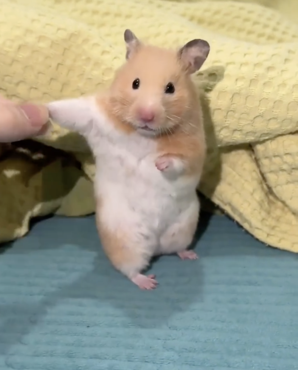 奴才還是很嗨欸～