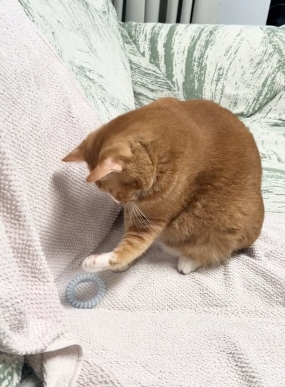 奴才：該怎麼跟你解釋好呢！