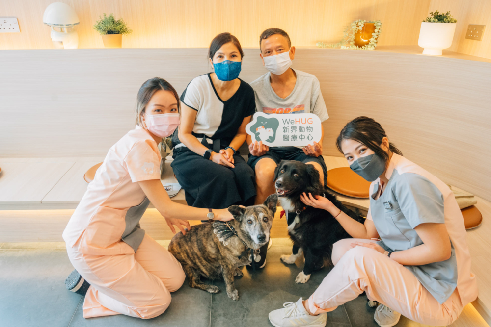 WeHUG 新界動物醫療中心。