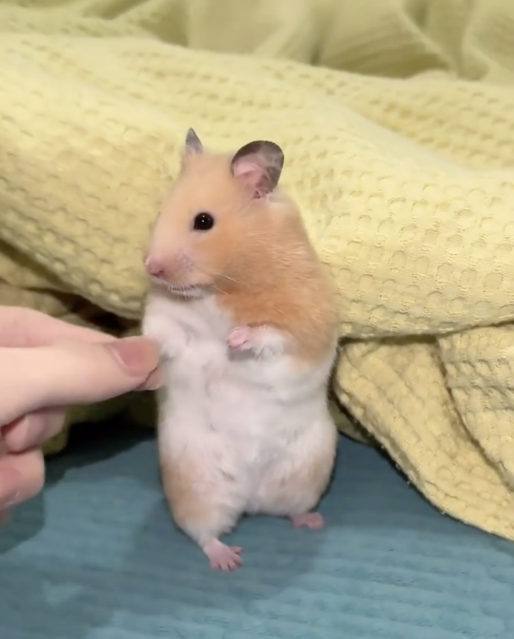 奴才：謝謝你來保護我的童心喔