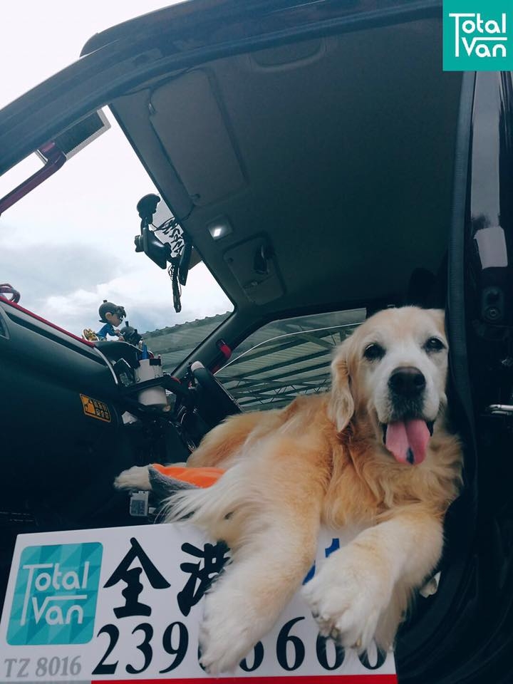 Total Van 全港有提供寵物運送服務。