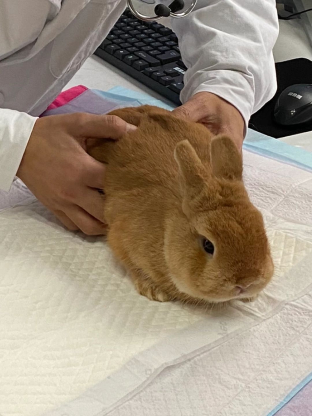 若出現細菌感染，需到醫院治療