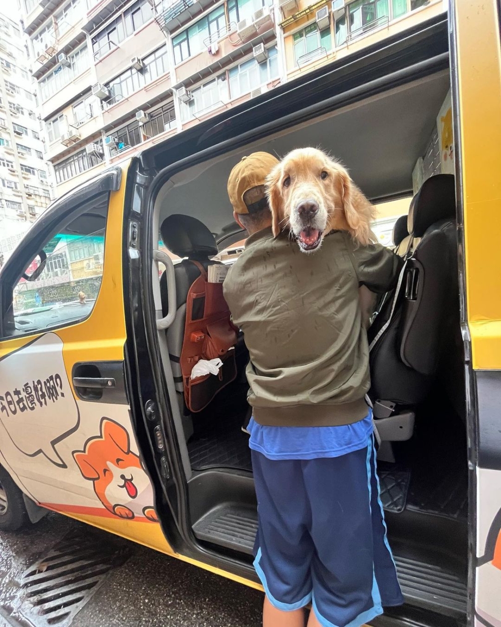 司機哥哥接載又可以協助幫忙主人抱住呢！