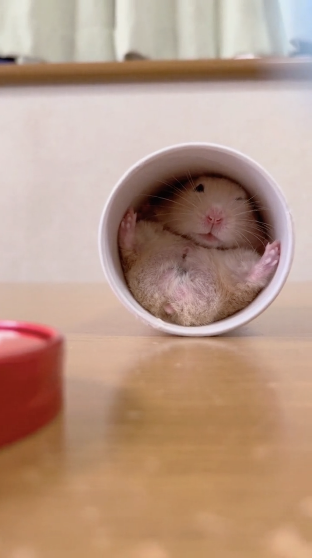 奴才:那就最好了