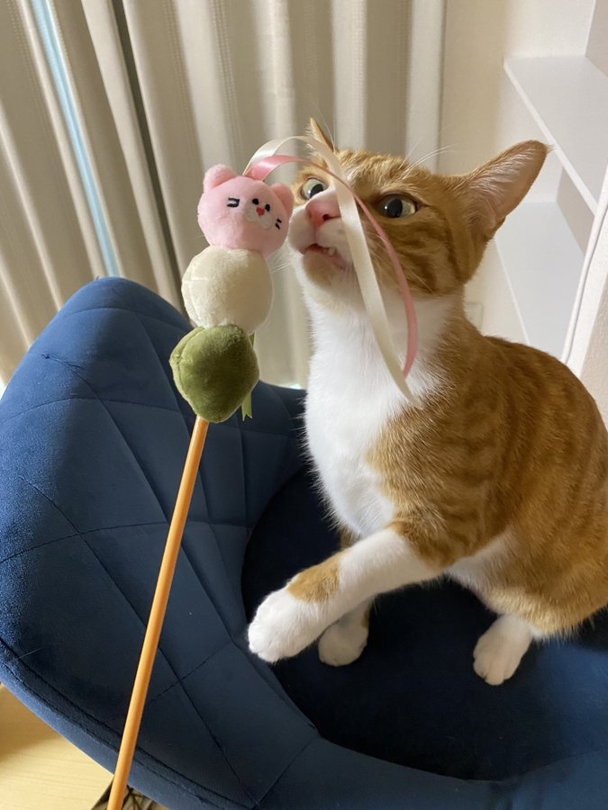 奴才：那是當然