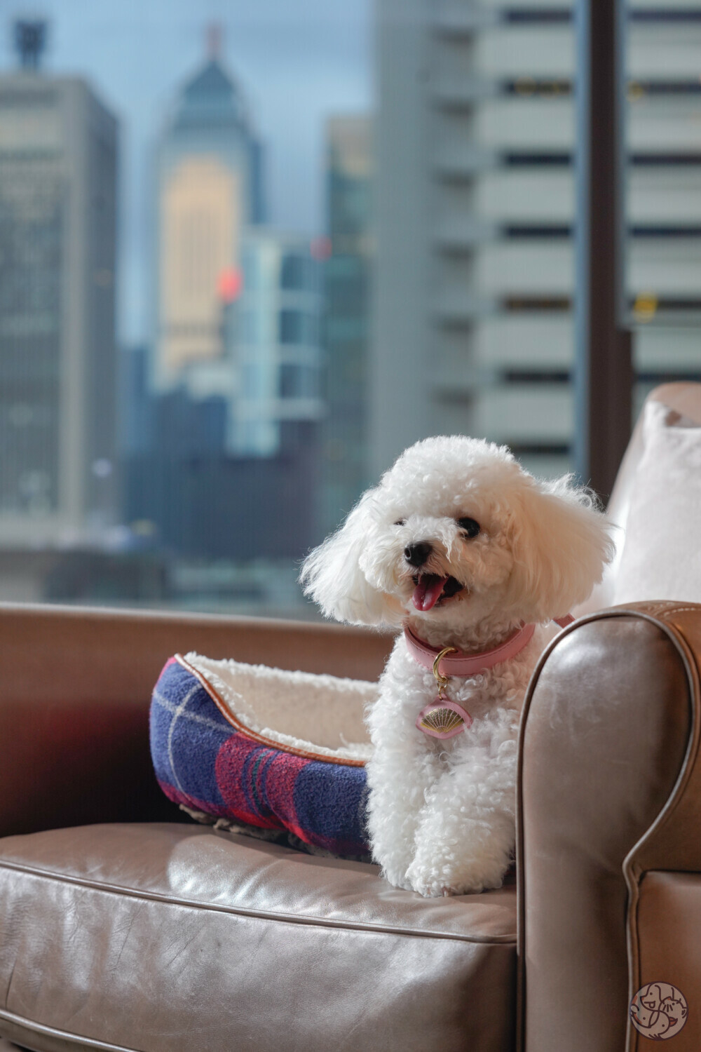 文華東方酒店是狗狗友善酒店。