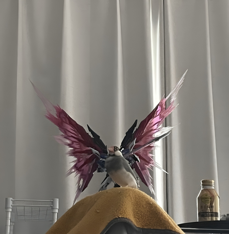 奴才：你變身了欸