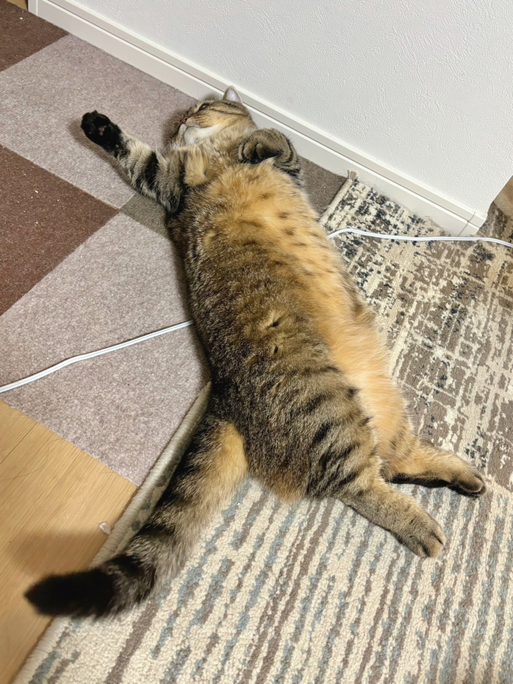 奴才：你別誤會我的意思