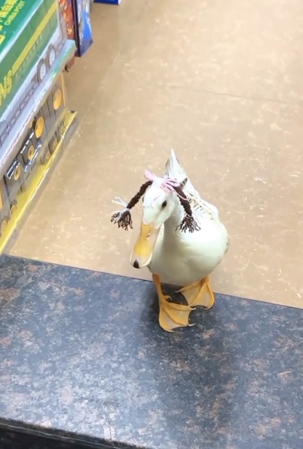 奴才：有沒有滿分？