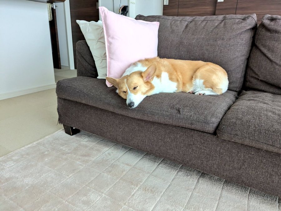 奴才：書是我讀的欸