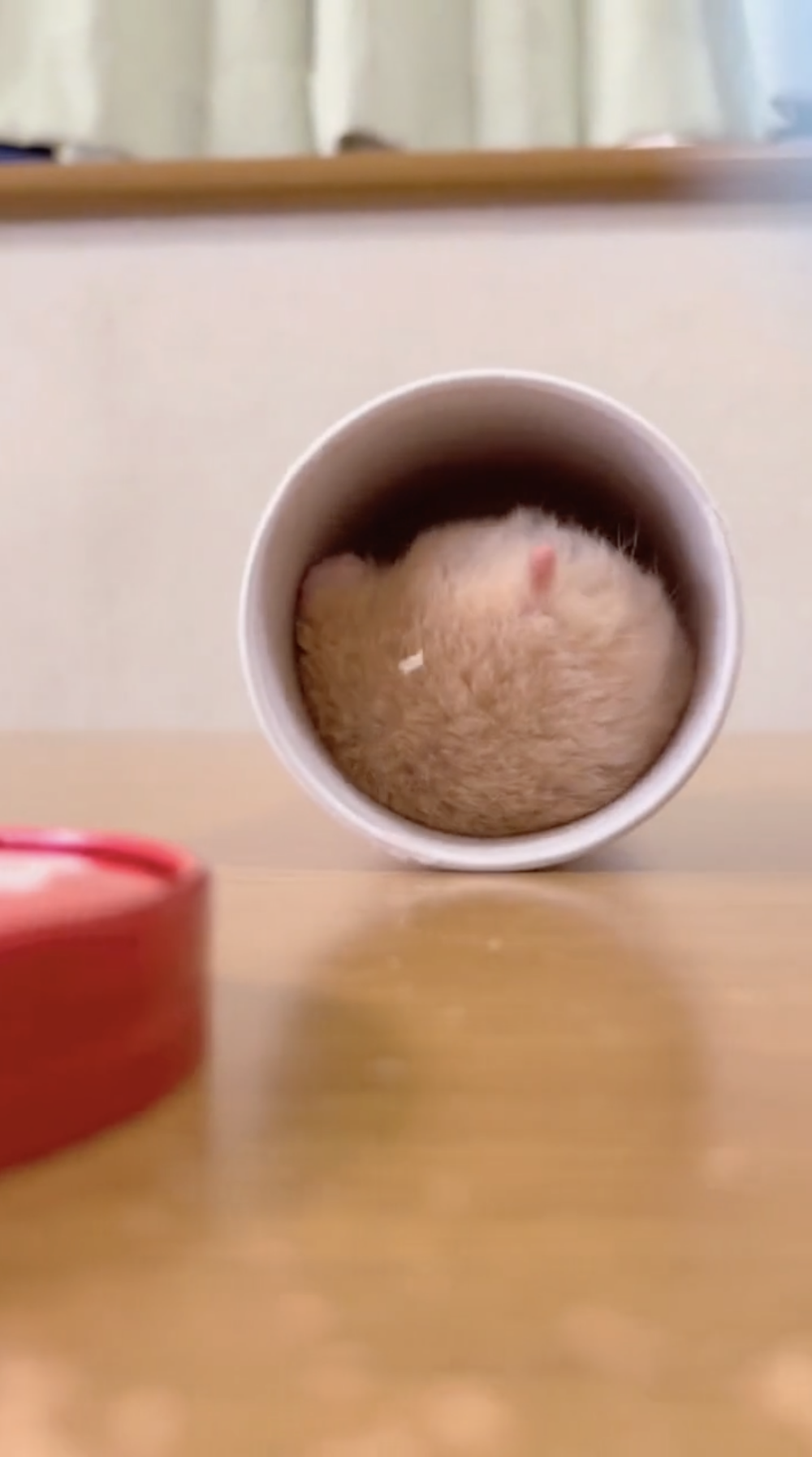 奴才:專門為你準備的