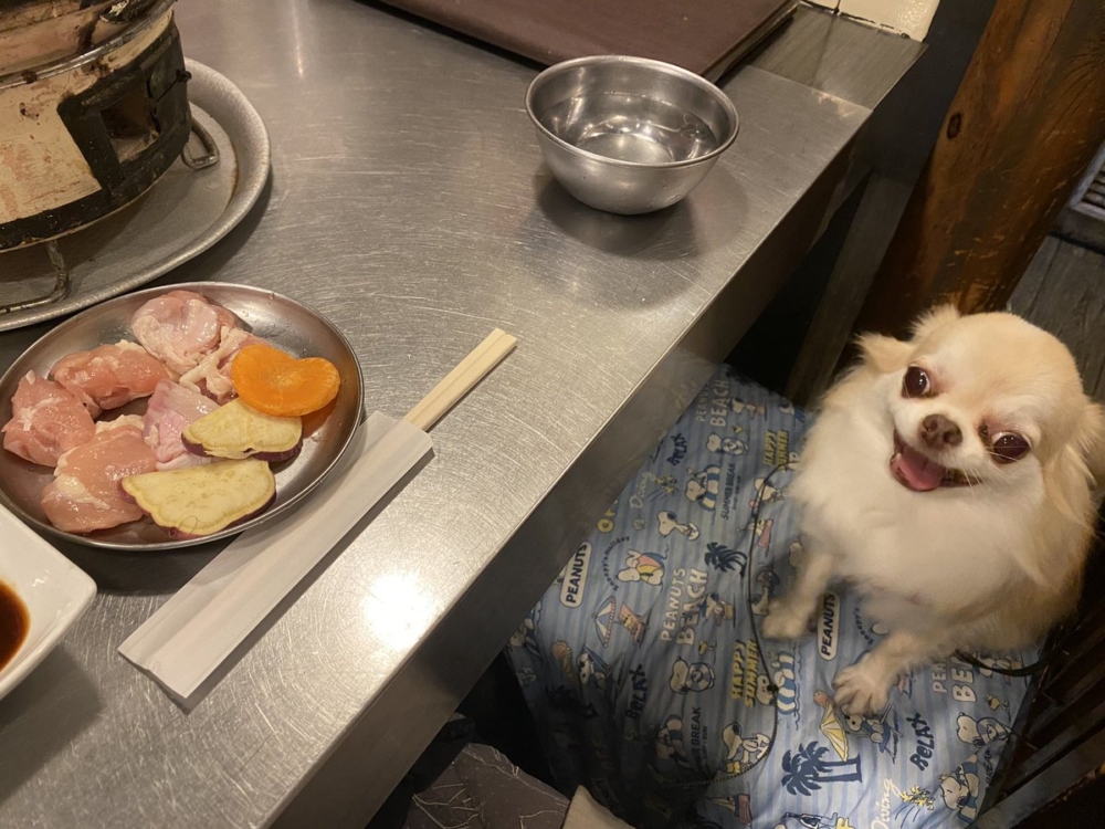 奴才：絕對不敢了