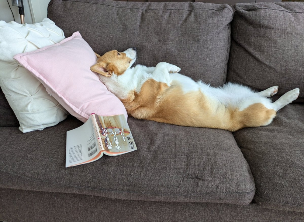 奴才：你怎麼就累了呢