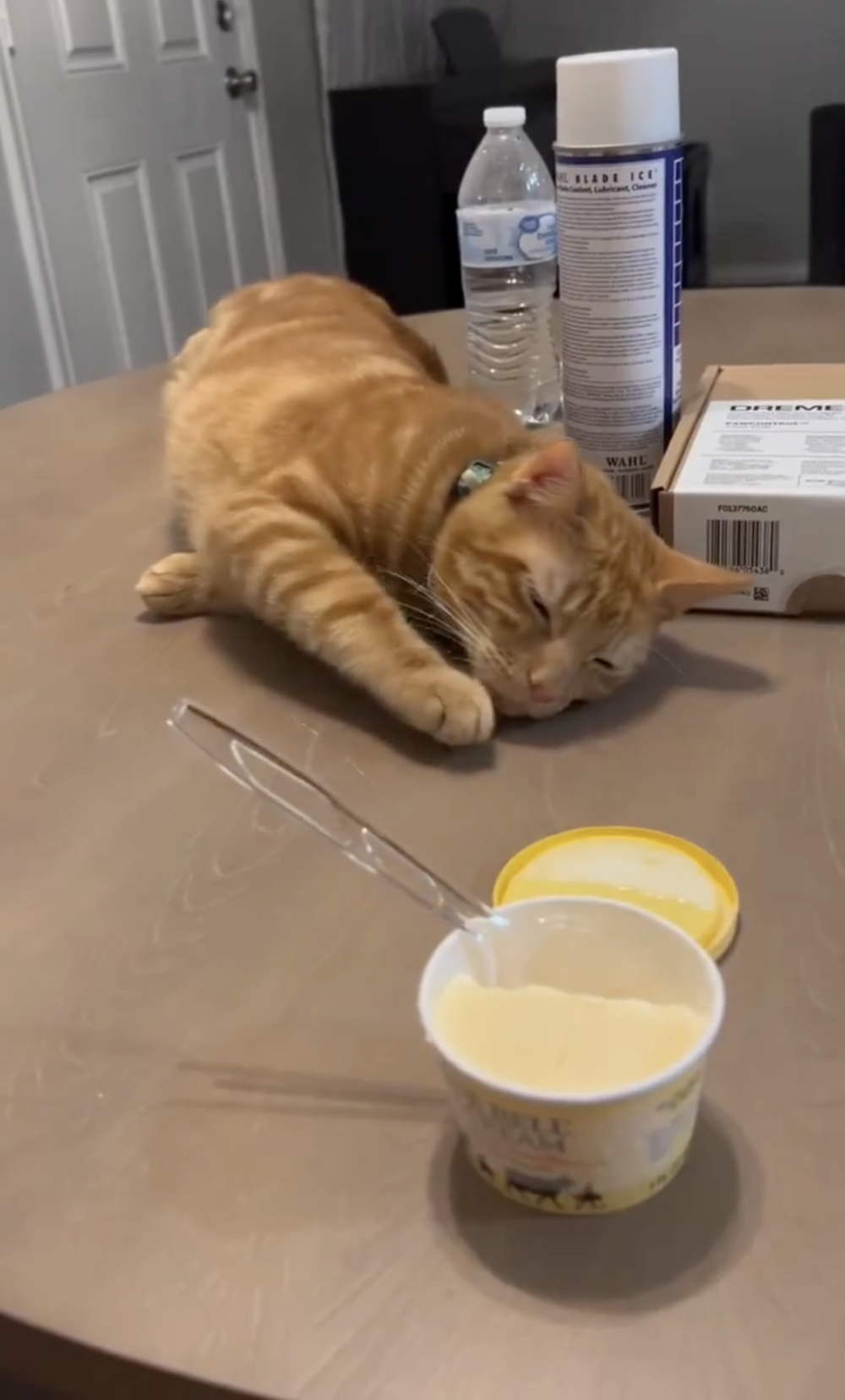 奴才：你鬼鬼祟祟的喔