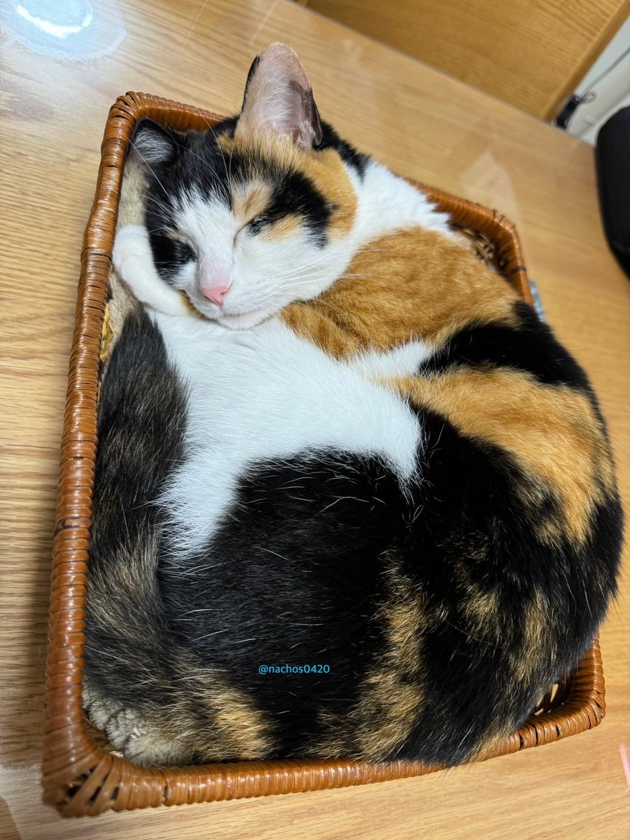 奴才：你也是很會找地方喔