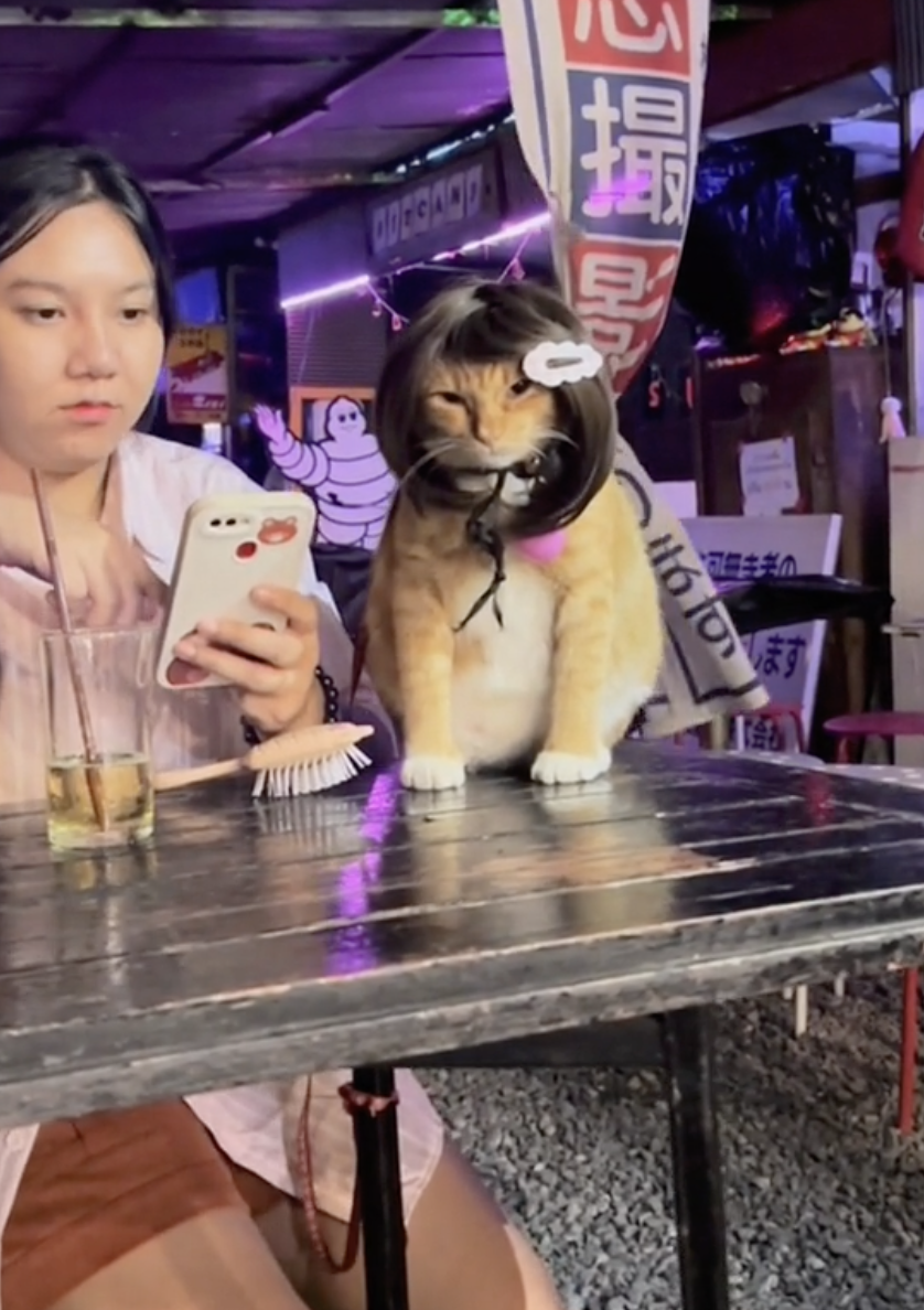 什麼造型都能駕馭的Tony！