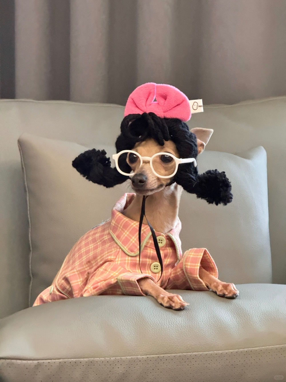 奴才：在你身上好好看