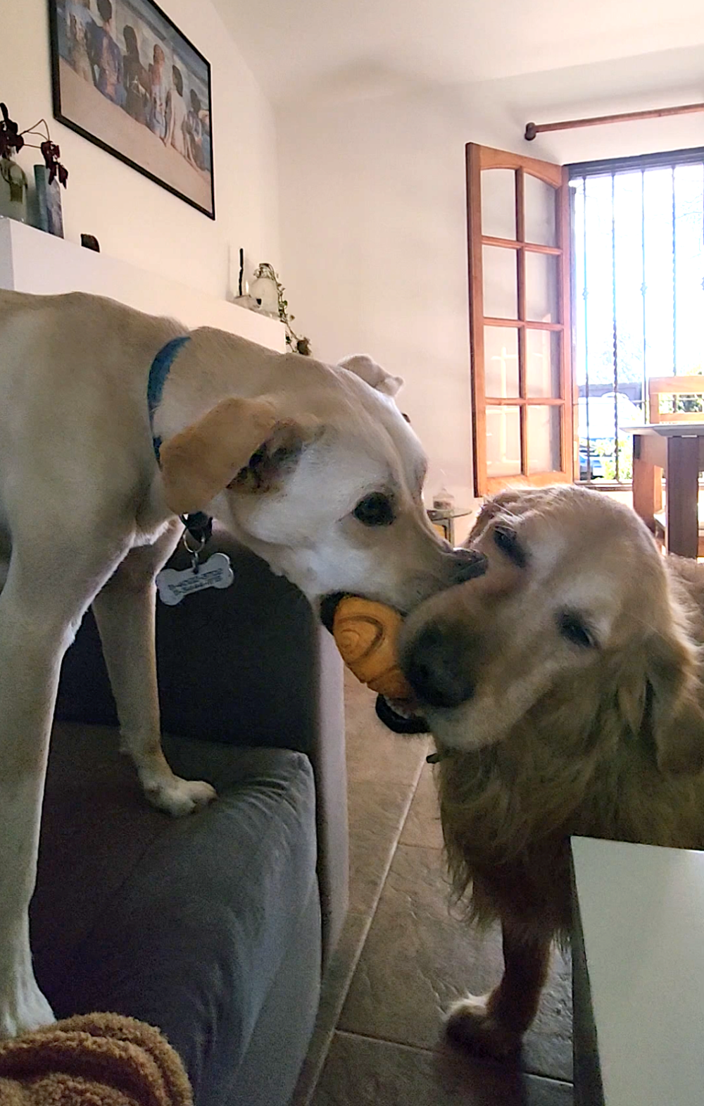 奴才：你們互相謙讓一下吧