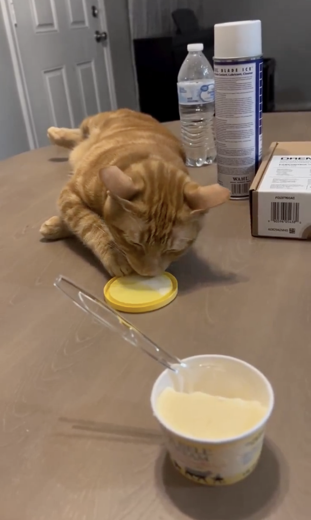 奴才：演技滿分