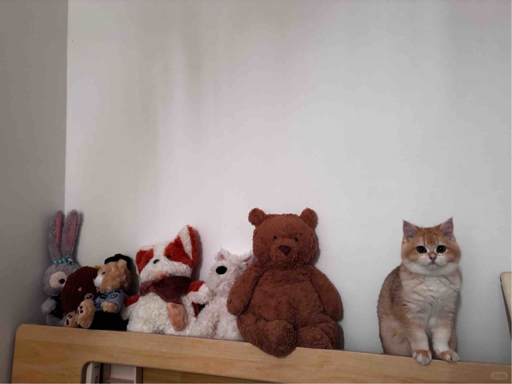 奴才:你是想漲一漲身價嗎?