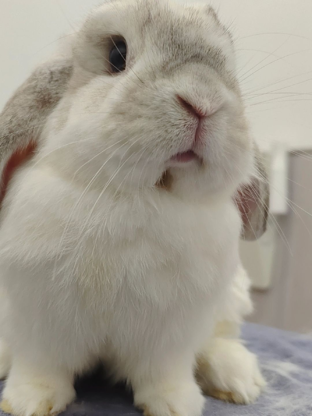 口水引發的皮膚濕疹也可以使用這套護理方式