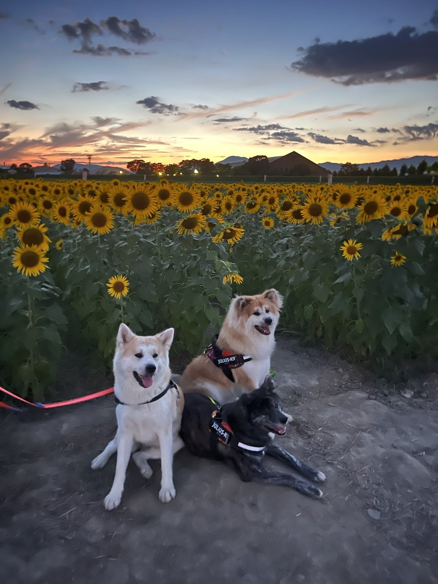 奴才：你好好享受吧