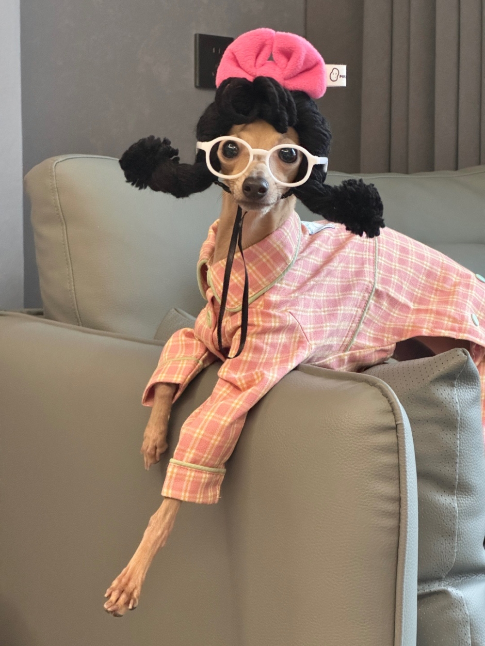 奴才：我的眼光真好